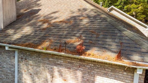 Cost of Gutter Pine Needle Removal in Keller