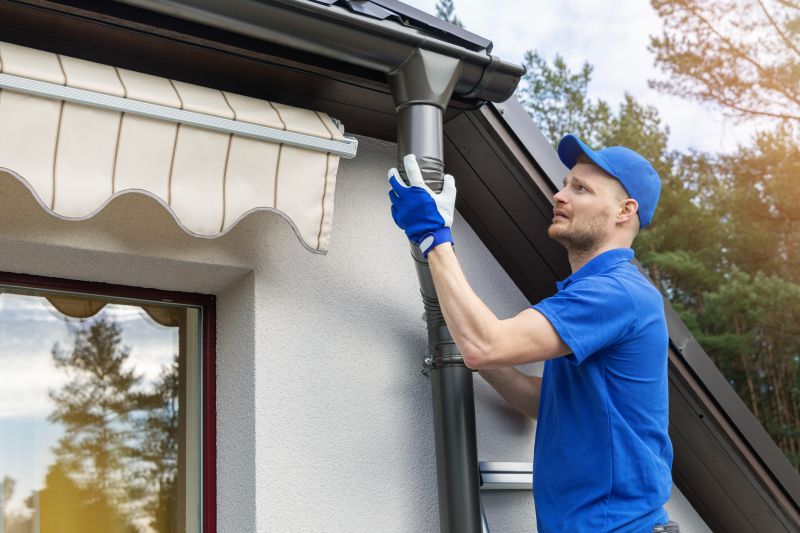 Gutter inspection and maintenance